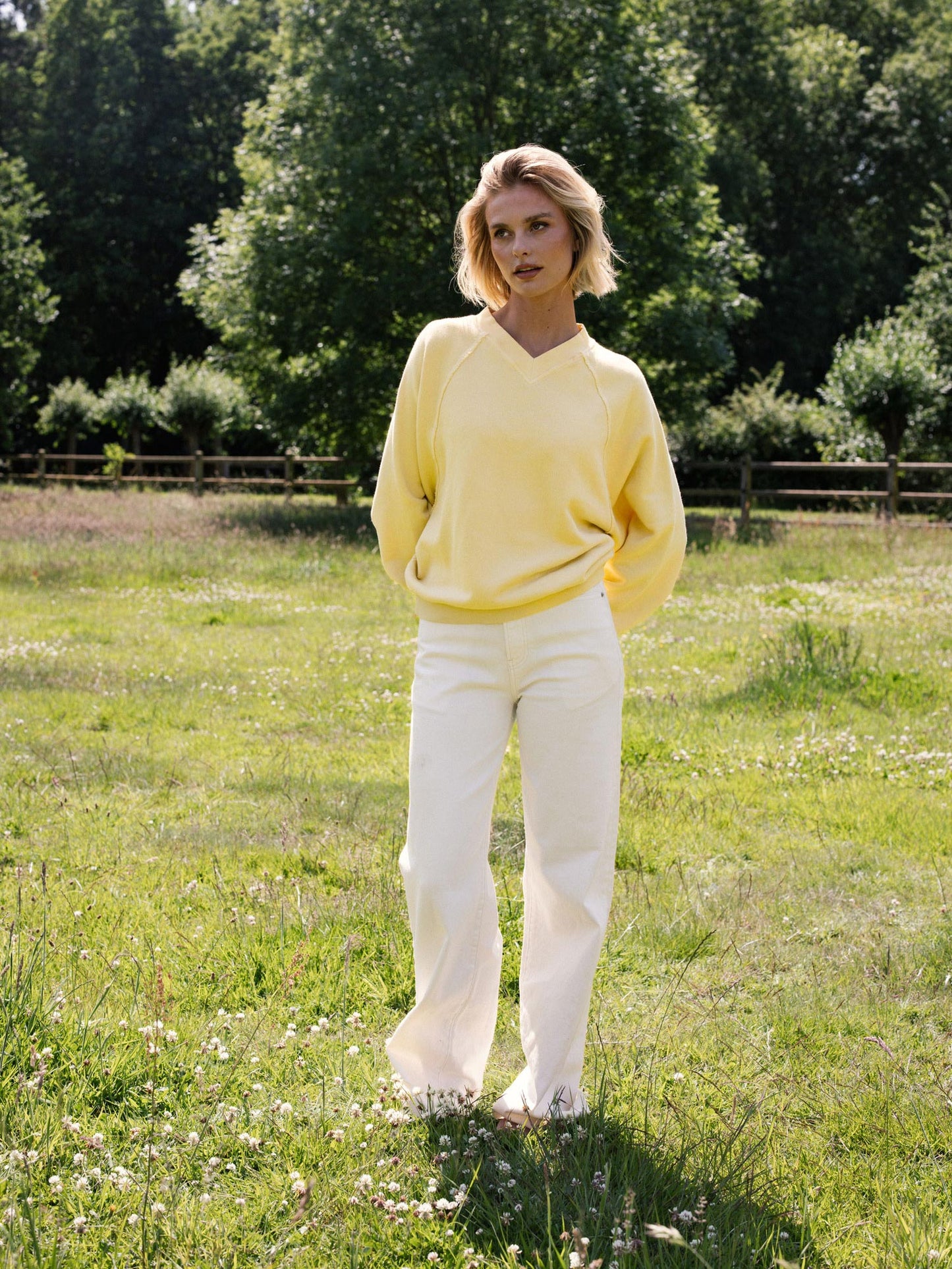CWJSWEATER V-Neck Mellow Yellow
